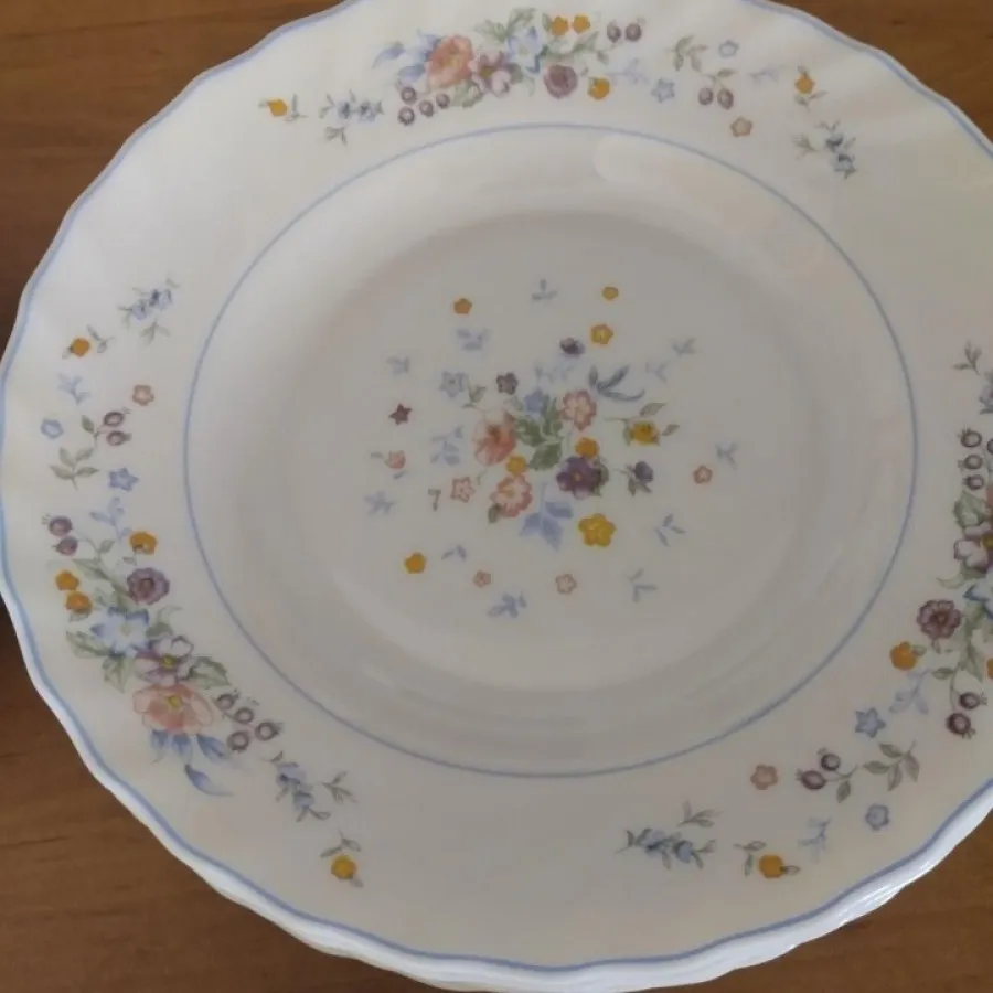 ظروف آرکوپال اصل فرانسه