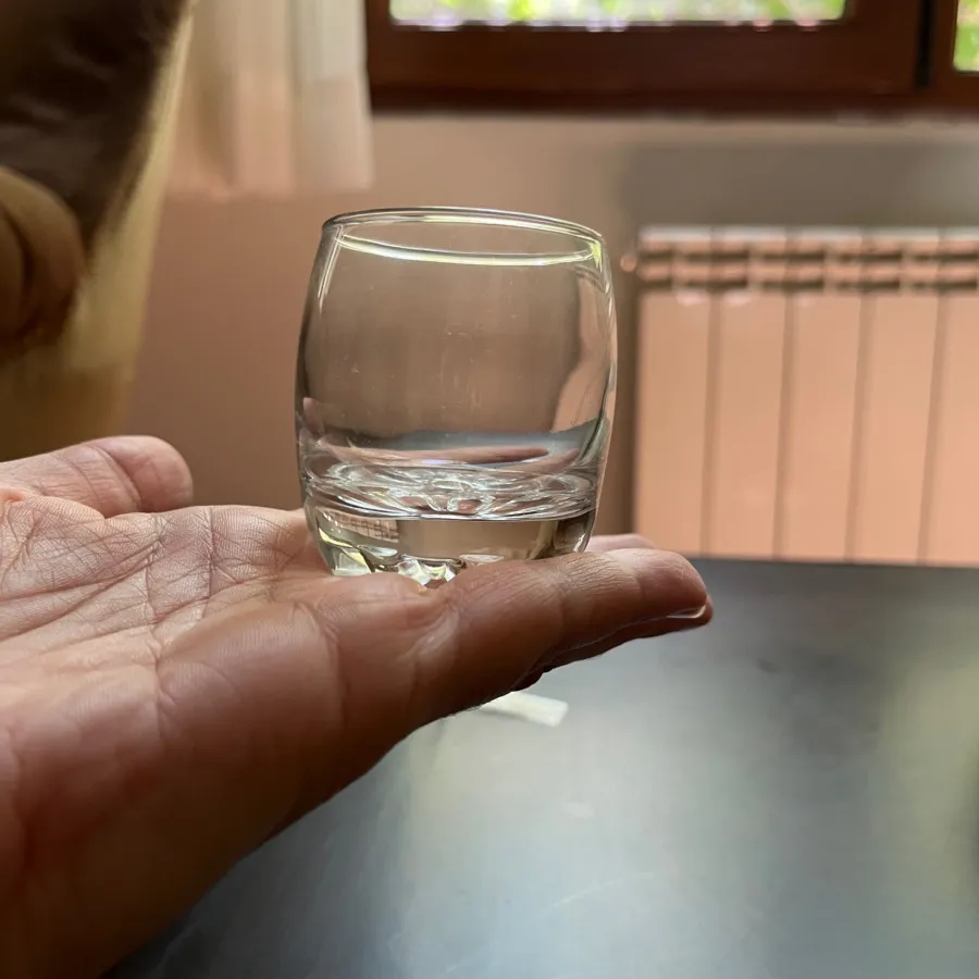 شات پاشاباغچه