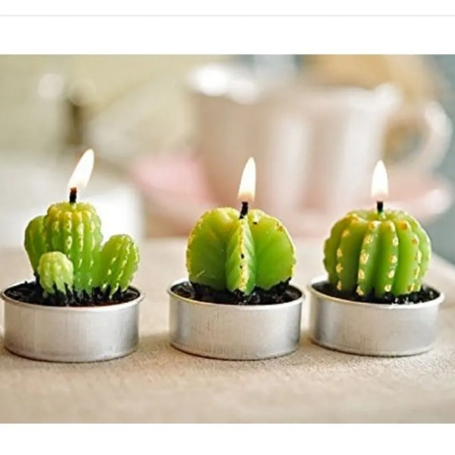 شمع مدل کاکتوس