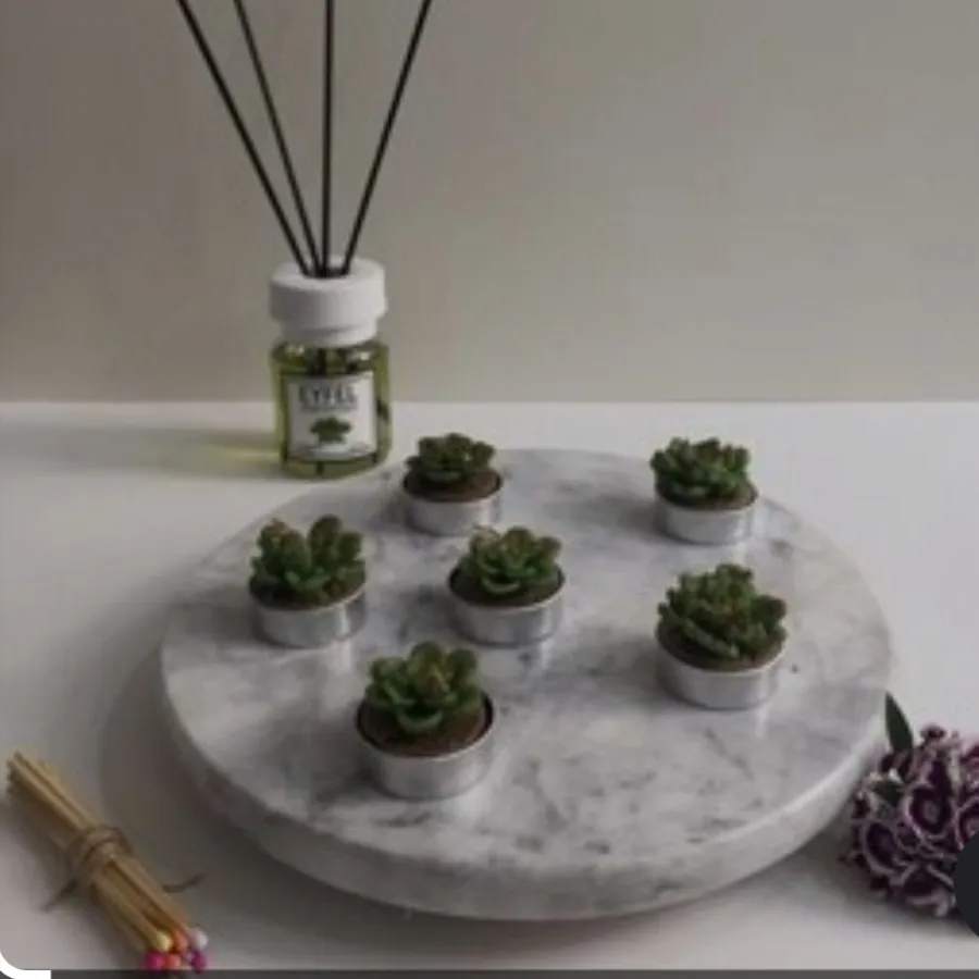 شمع مدل کاکتوس