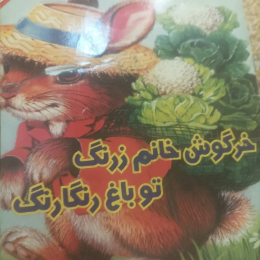 دو عدد کتاب کودک