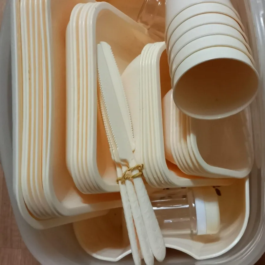 ظروف پیکنیک نو