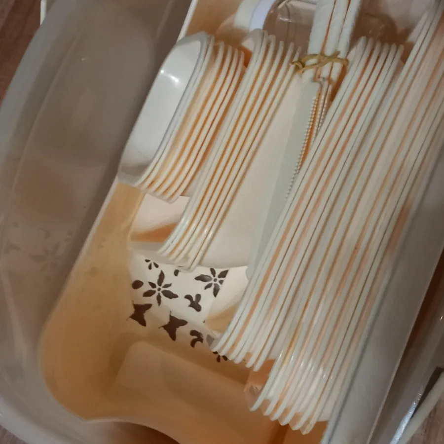 ظروف پیکنیک نو