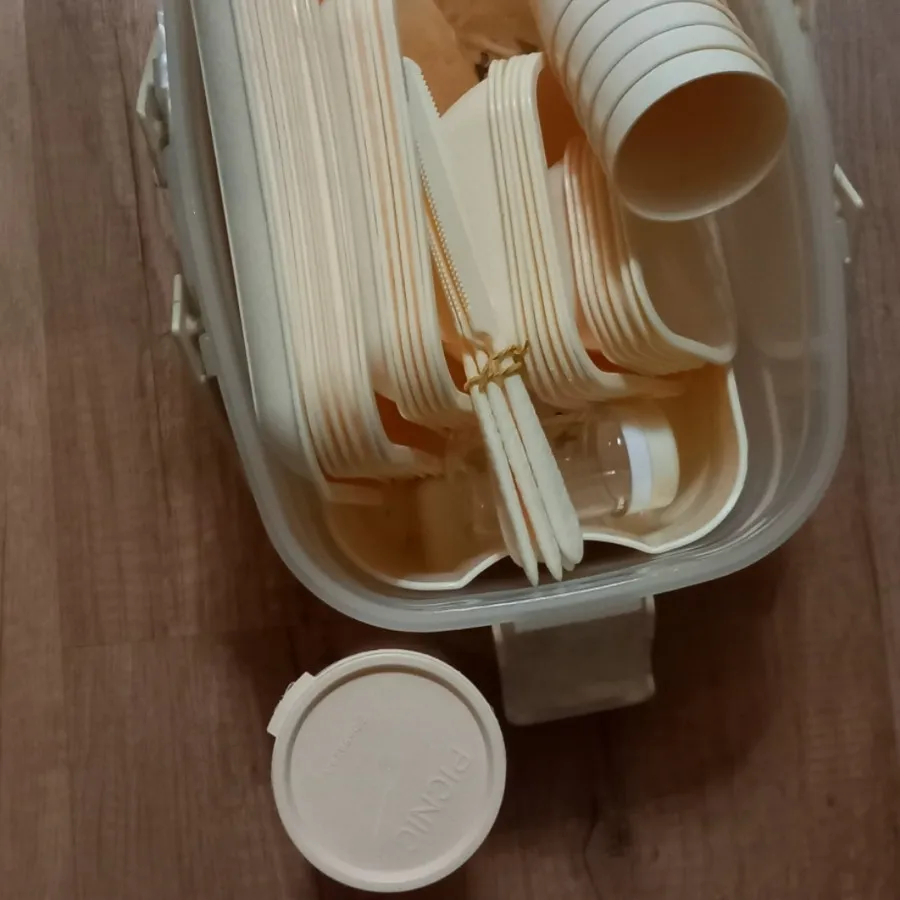 ظروف پیکنیک نو