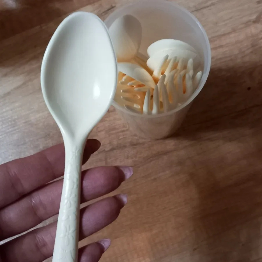 ظروف پیکنیک نو