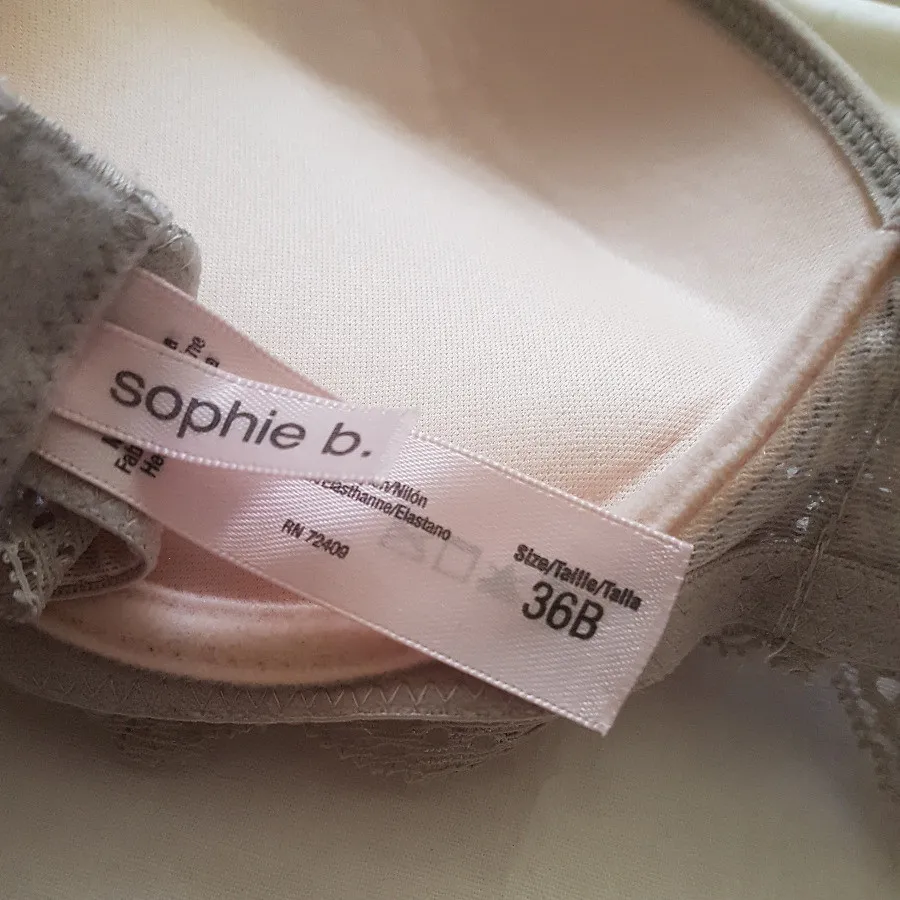 نیم تنه دانتل آمریکایی