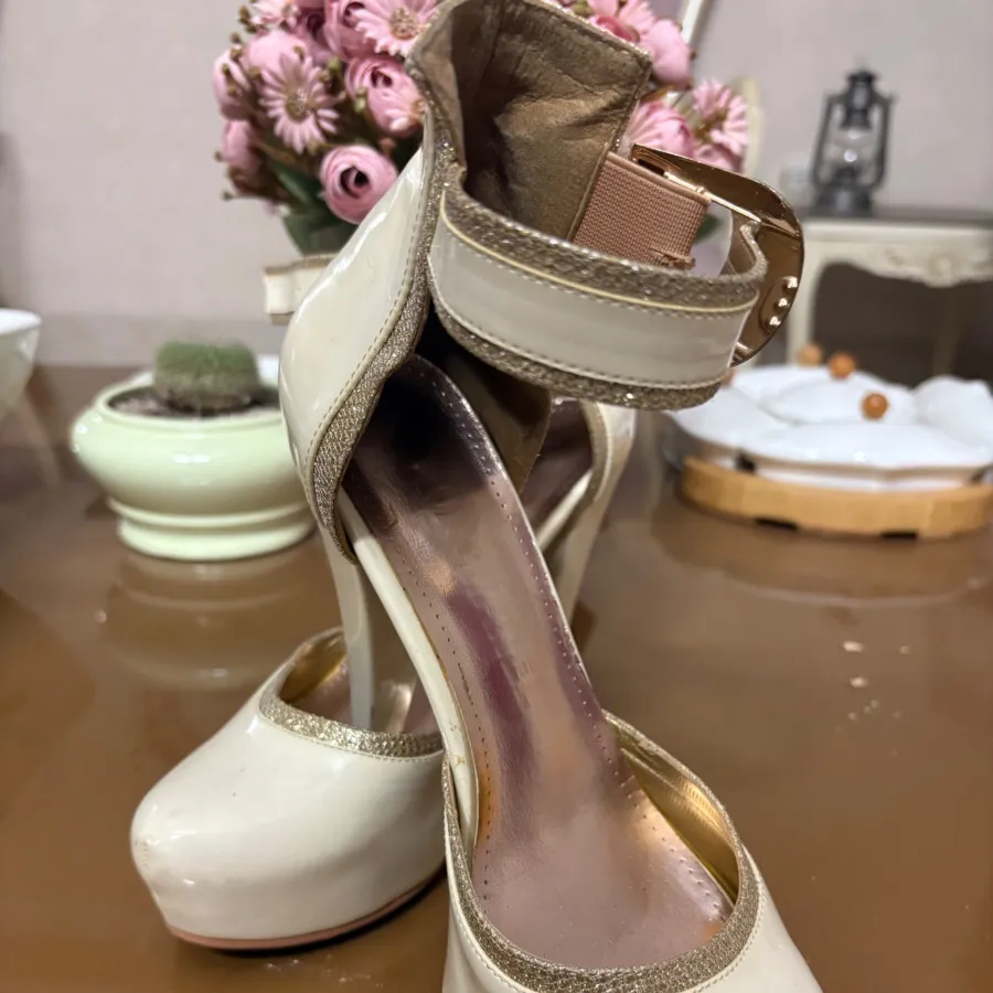 کیف و کفش ست مجلسی