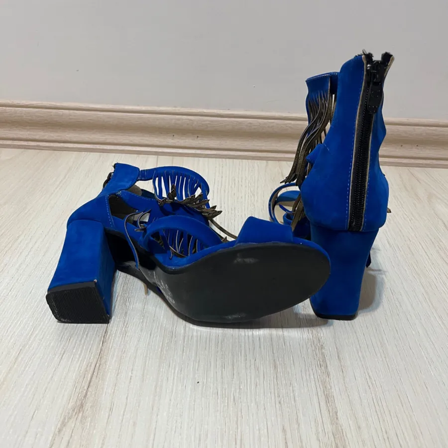 پاشنه ریش دار ابی نفتی