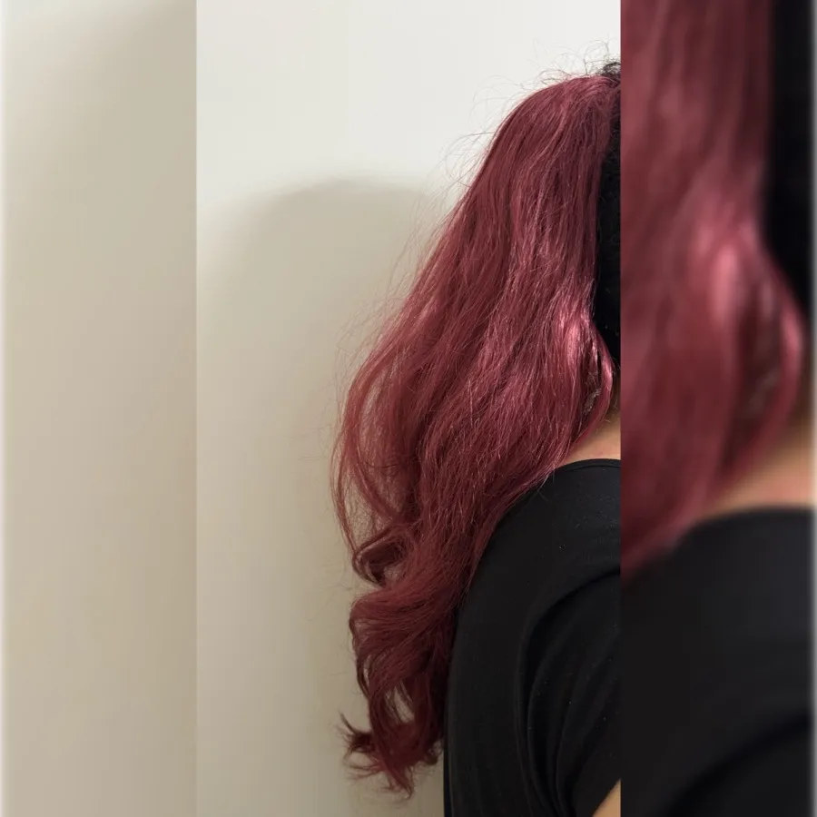 مو کلیپسی دم اسبی