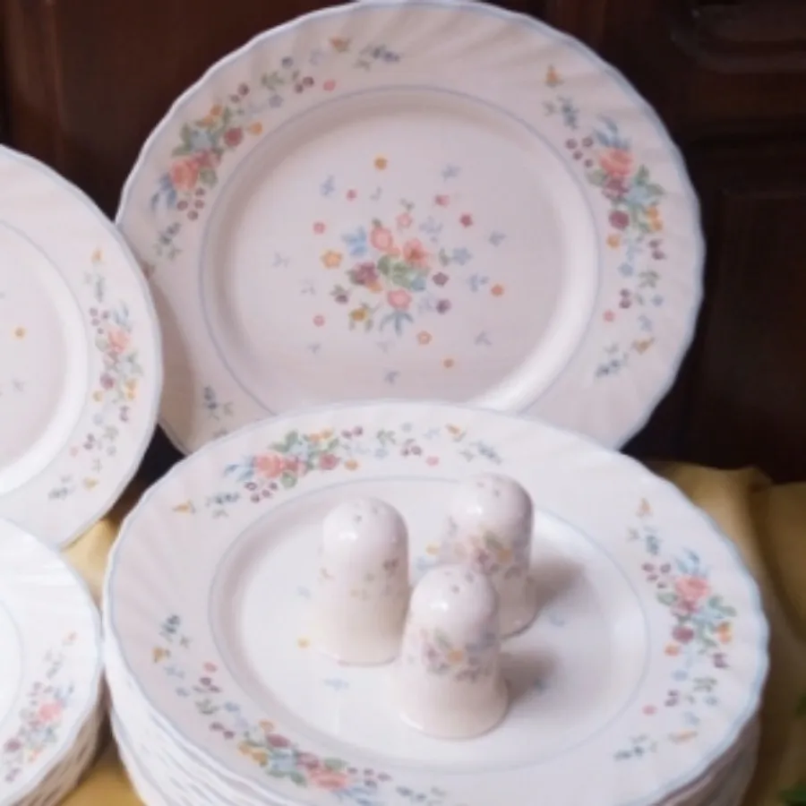 بشقاب آرکوپال ویکتوریا