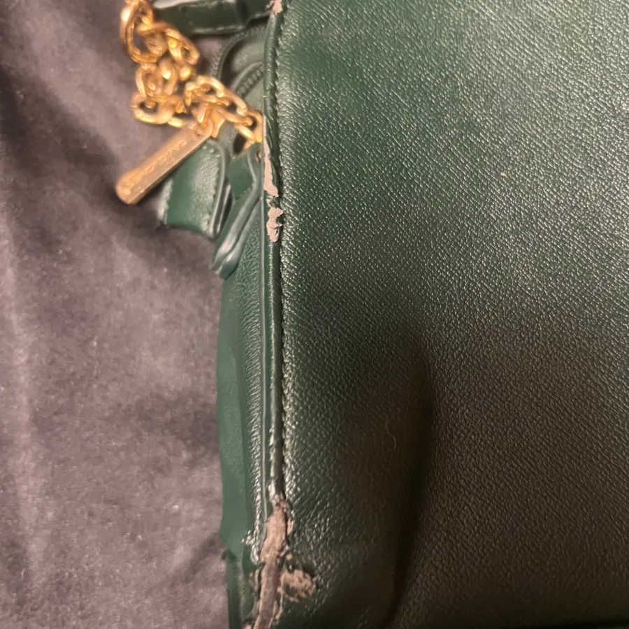 کیف دیودجونز اصی