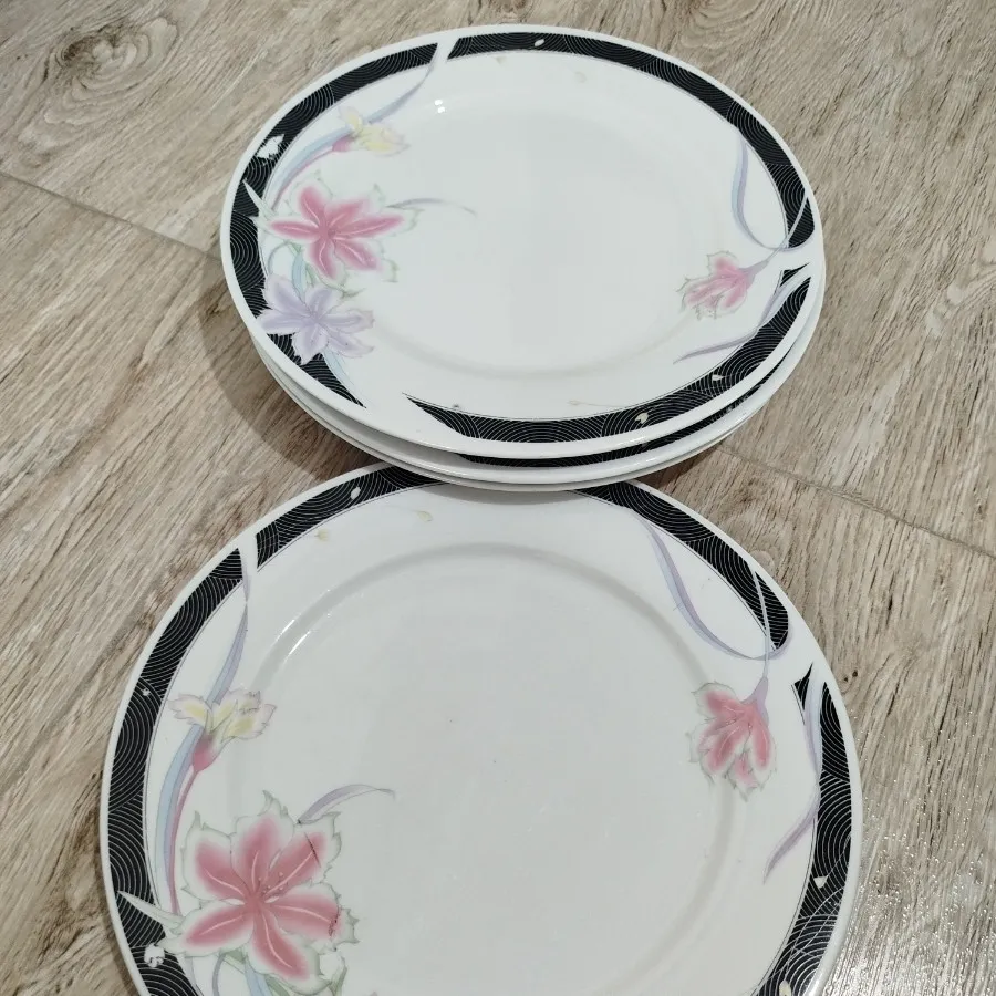 دیس غذاخوری