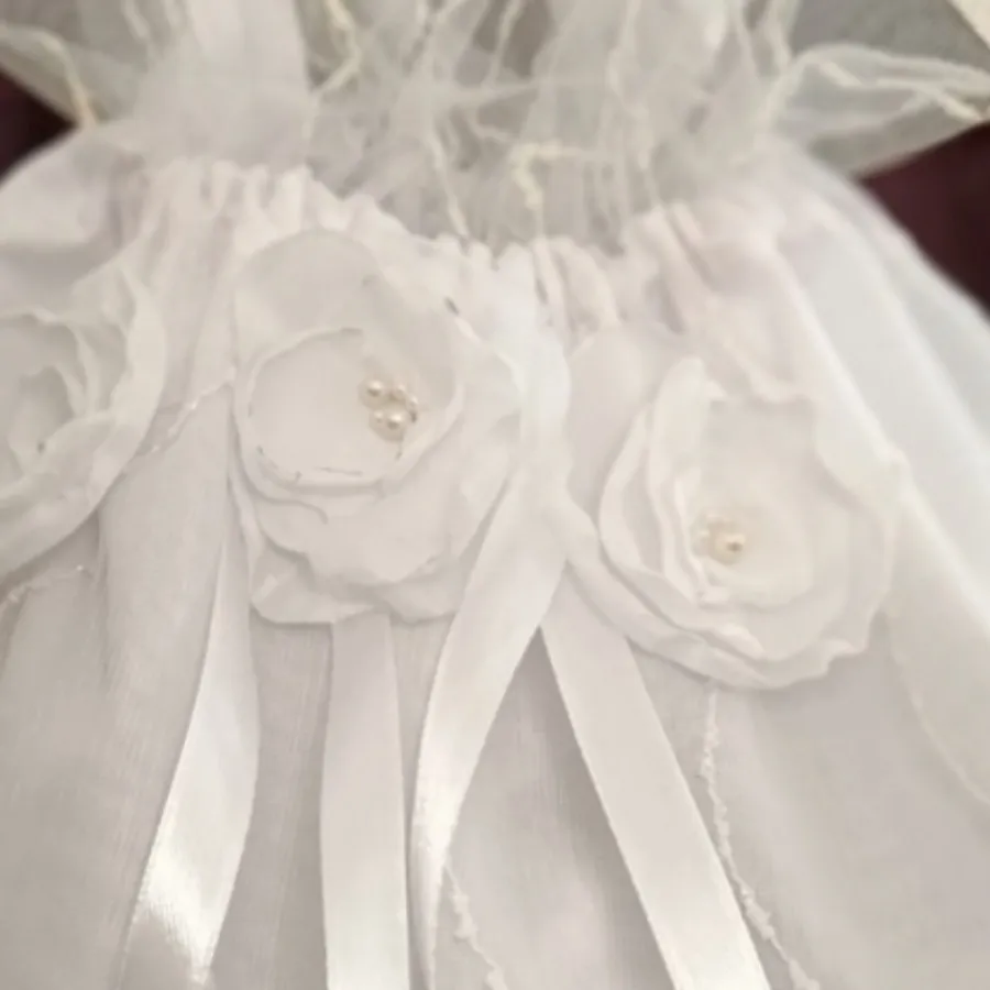 کیف شاباش عروس