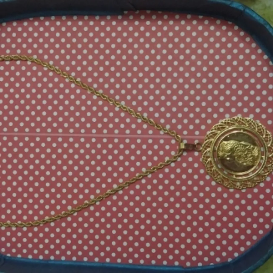 زنجیر و پلاک رنگ ثابت