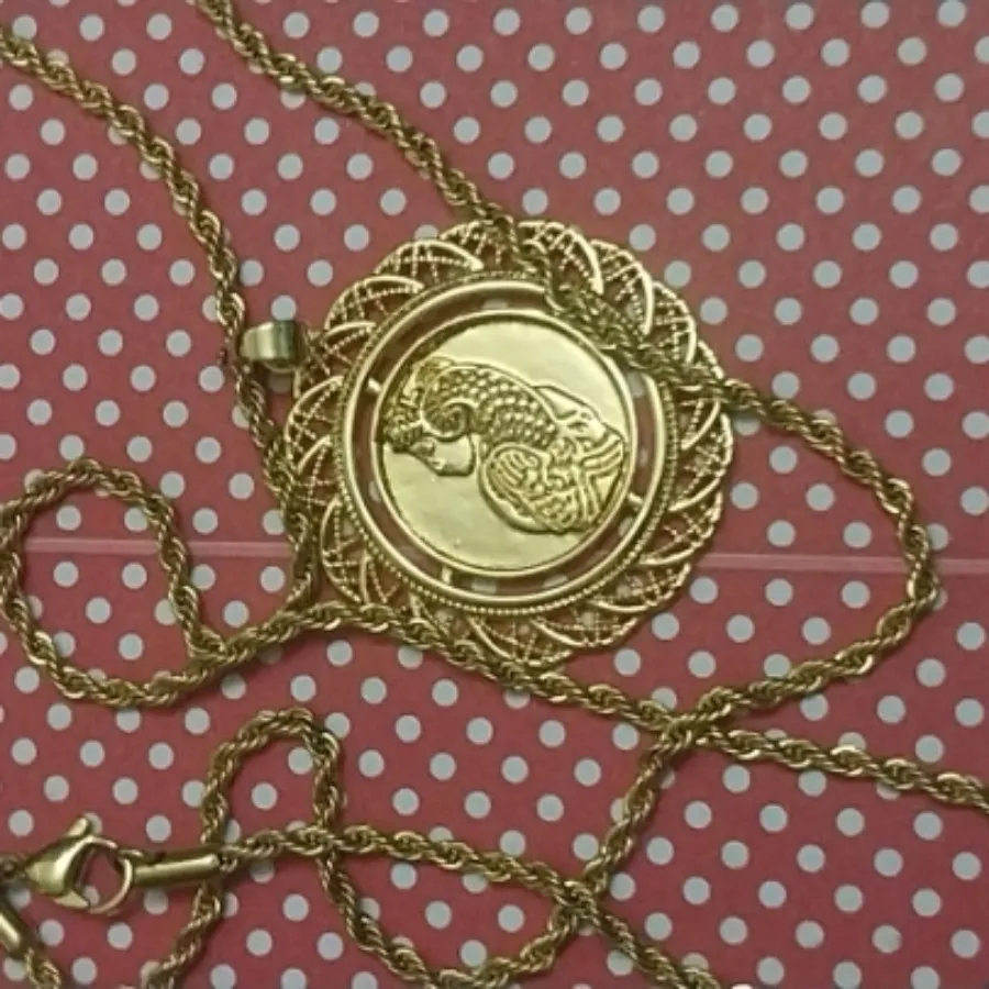 زنجیر و پلاک رنگ ثابت