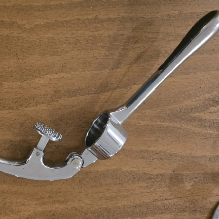 سیر خرد کن استیل