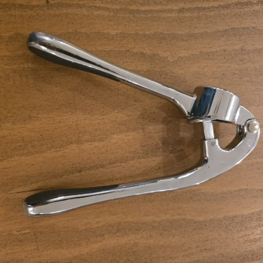 سیر خرد کن استیل