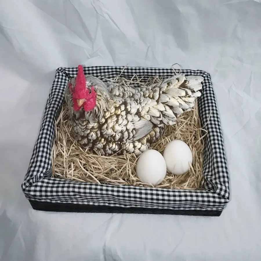 دکوری مرغ خانگی