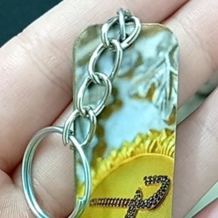 جا کلیدی و جاسوییچی