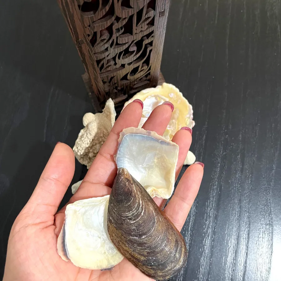 ست جا عودی شمع و صدف