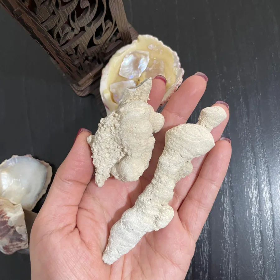 ست جا عودی شمع و صدف