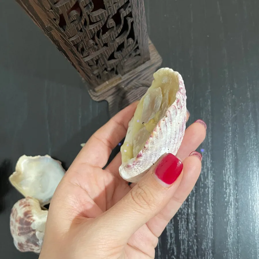 ست جا عودی شمع و صدف