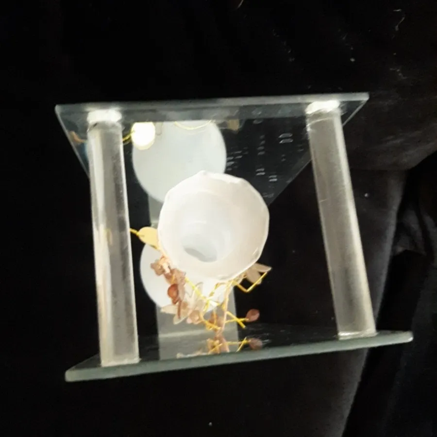 گلدان دکوری