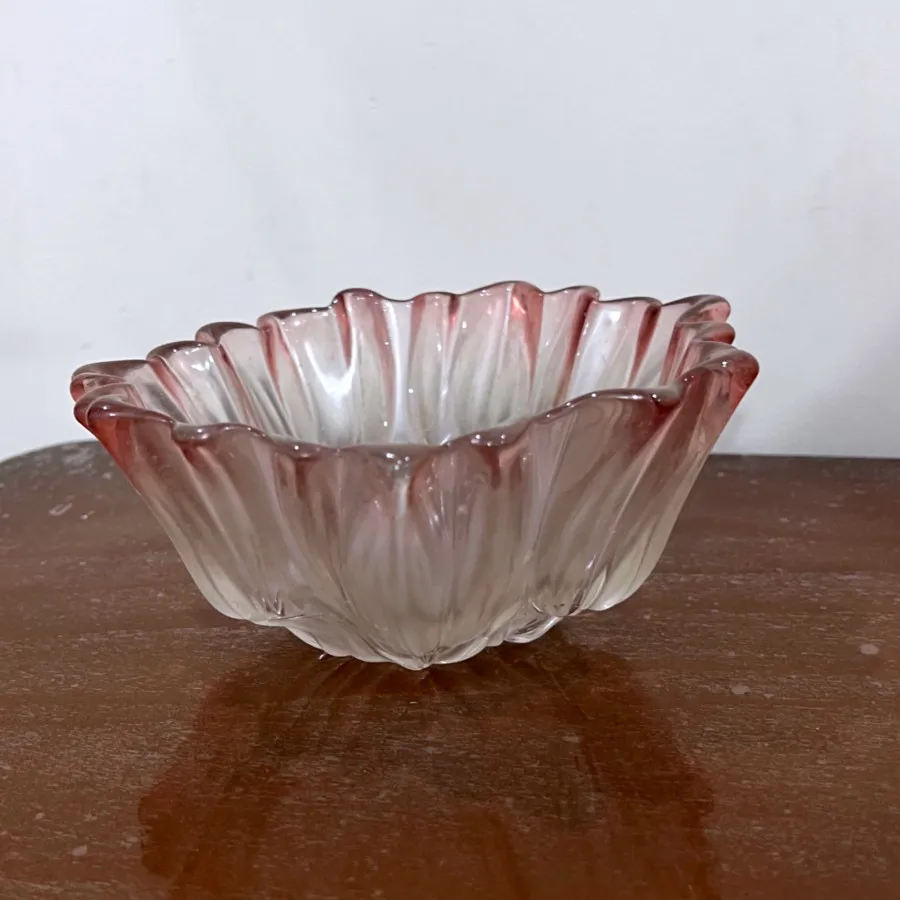 شکلات خوری والتر سیلویا