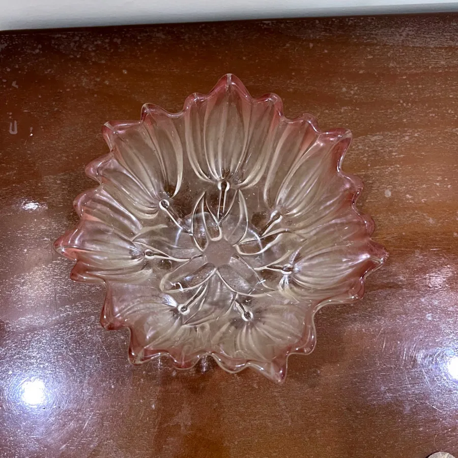 شکلات خوری والتر سیلویا