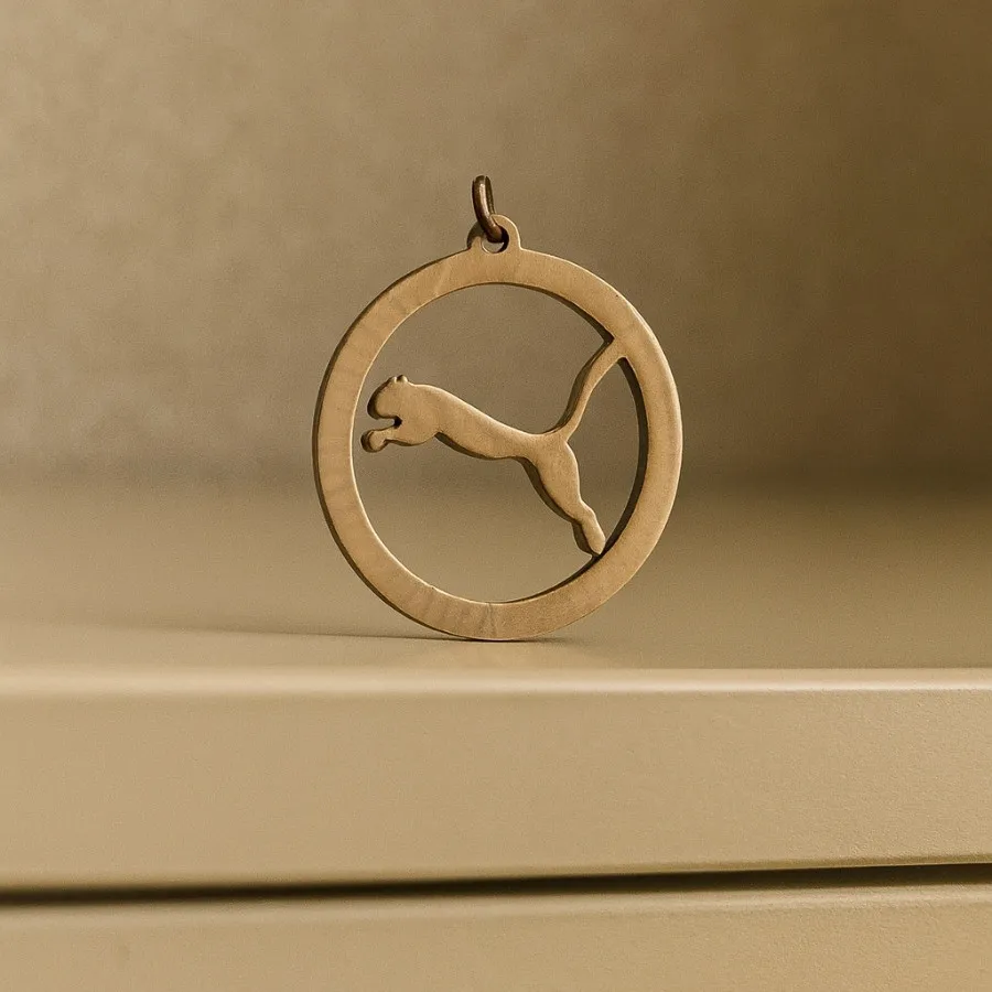 ✨ گوشواره حلقهای ورساچه