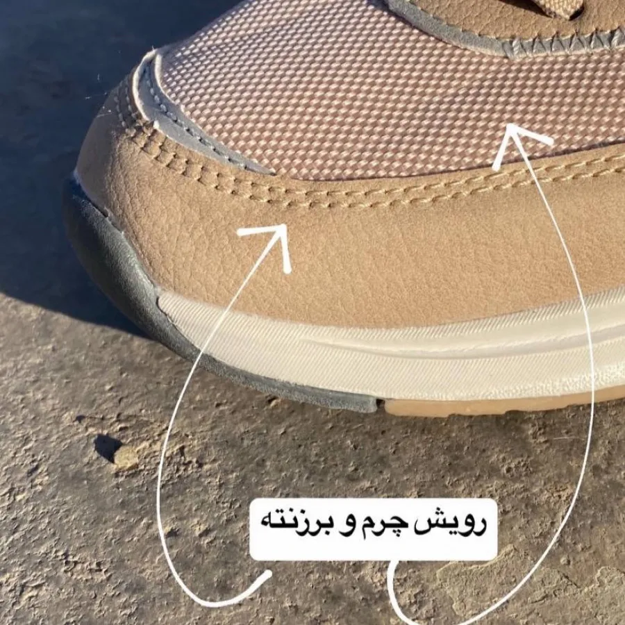 کفش ورزشی crane آلمان