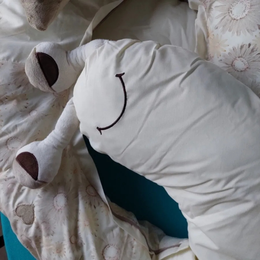 بالش ( ورق بزنید )