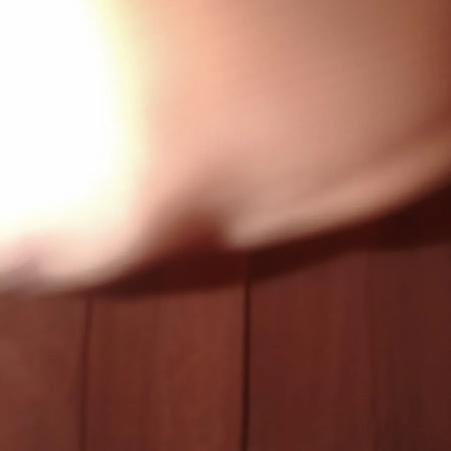 بلوز مجلسی زنانه حراج