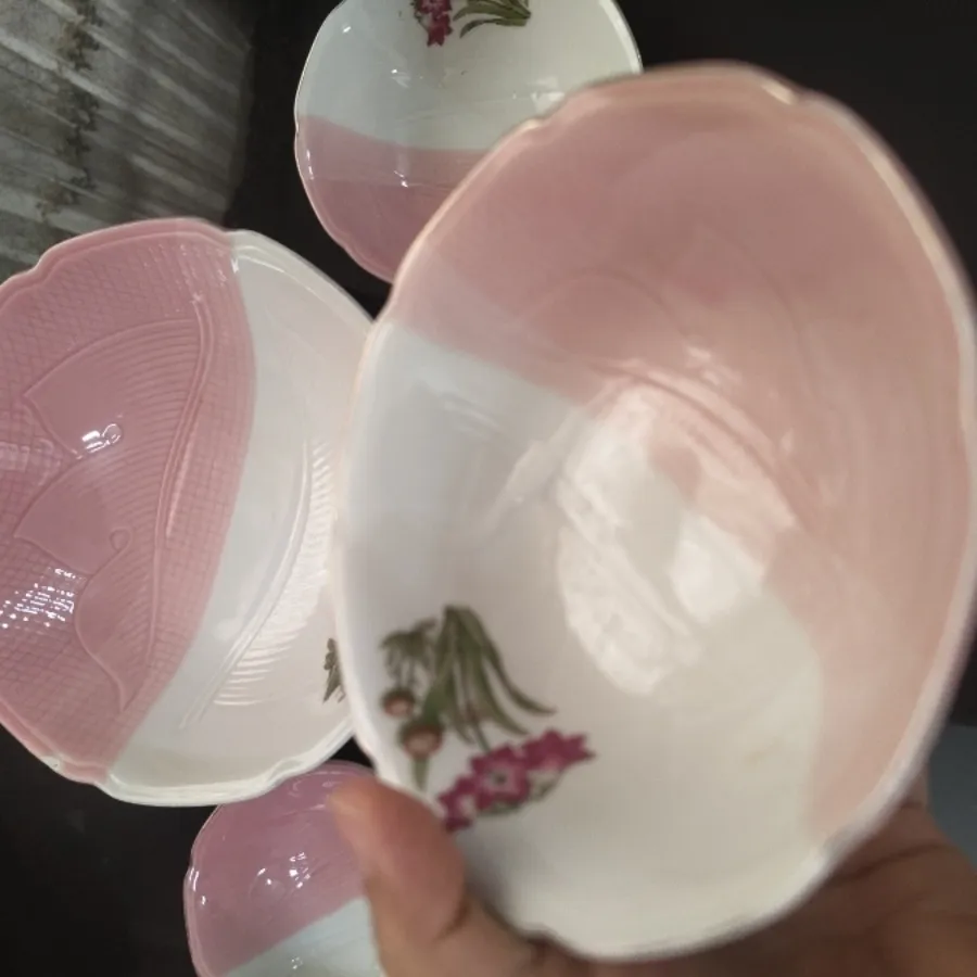 ست ژاپنی کلکسیونی