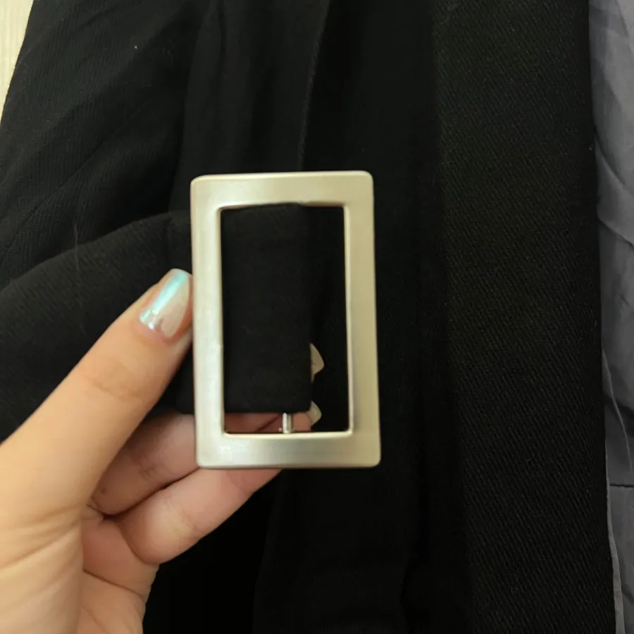 پالتو استردار