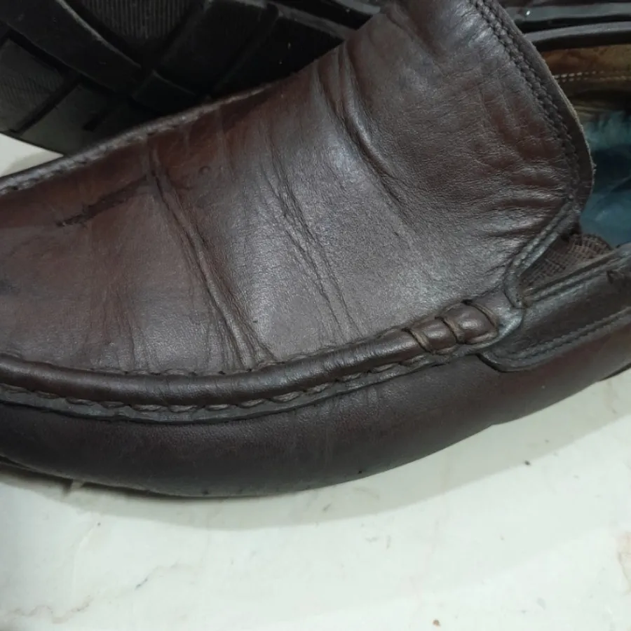 کالج مردانه ecco