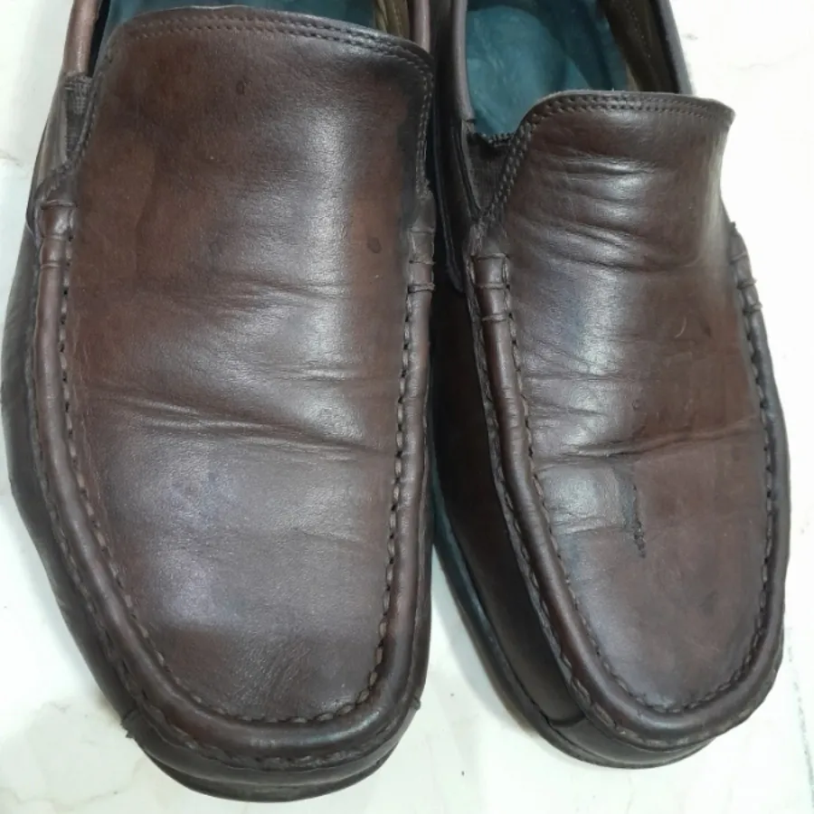 کالج مردانه ecco