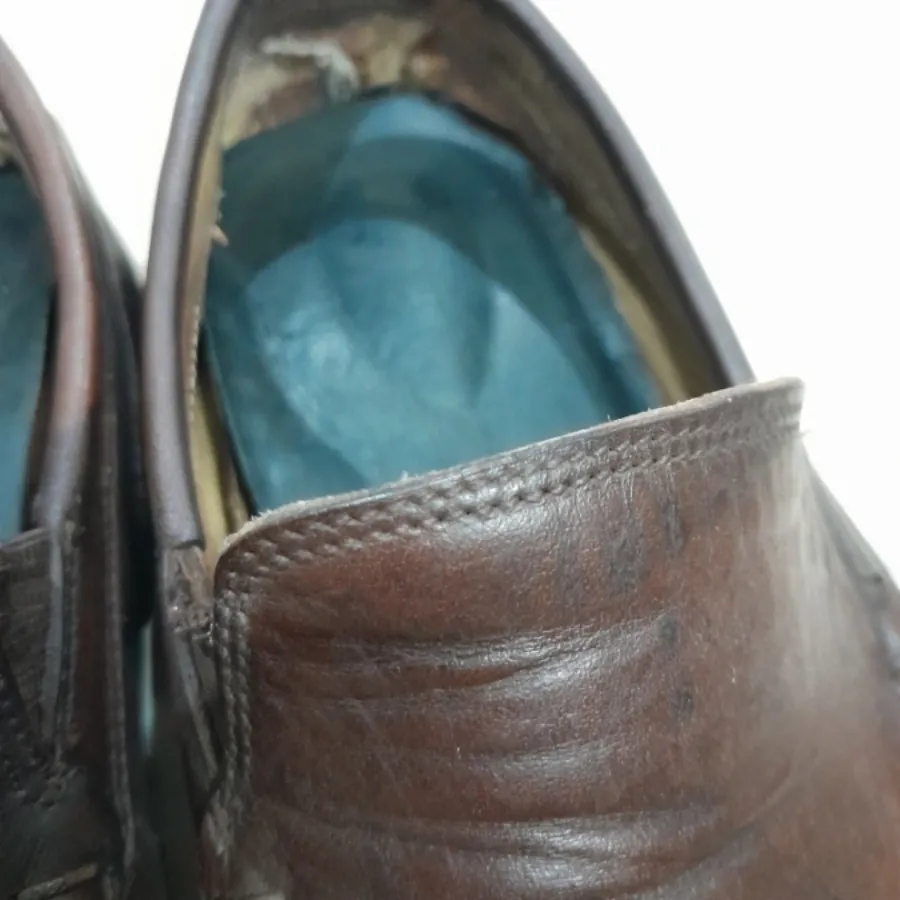 کالج مردانه ecco