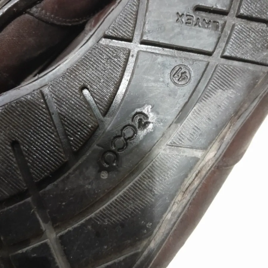 کالج مردانه ecco