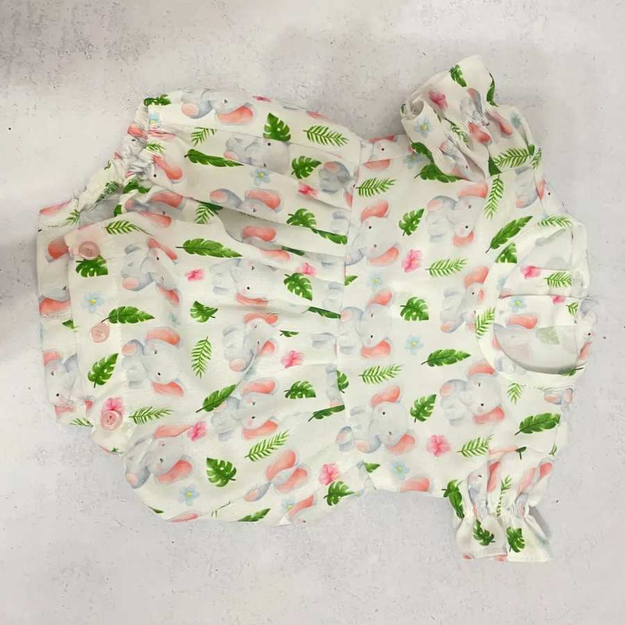 بادی و سارافن