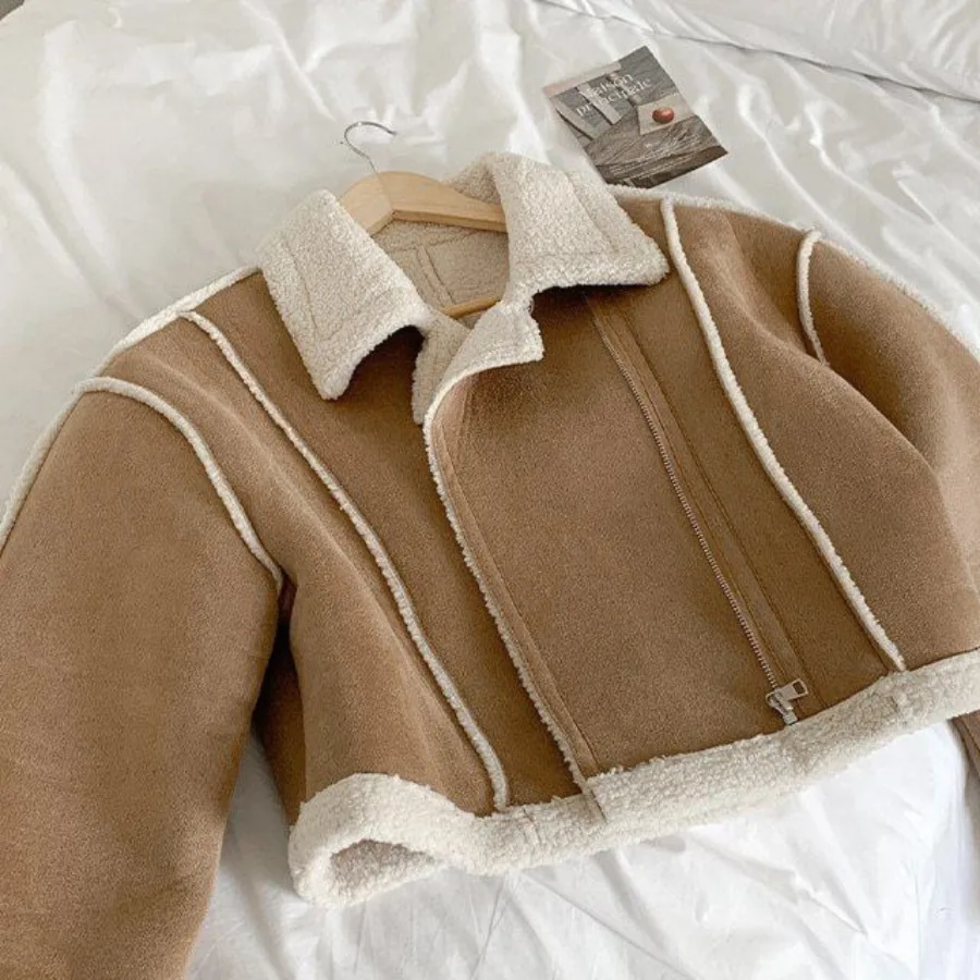 کت کراپ داخل استر تدی