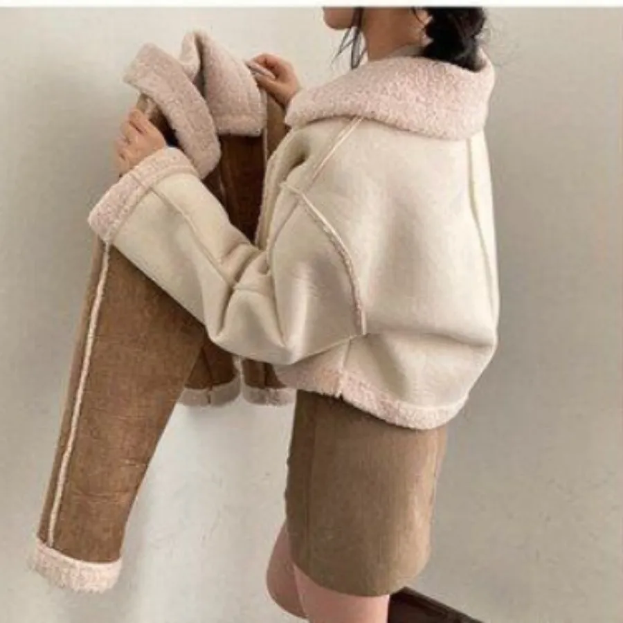 کت کراپ داخل استر تدی