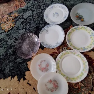 پیش دستی های آرکوپال