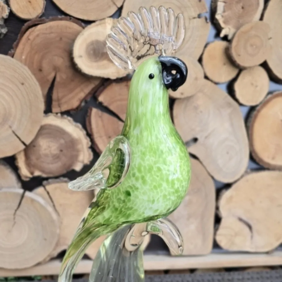 طوطی کریستال