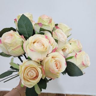 گل رز نونو