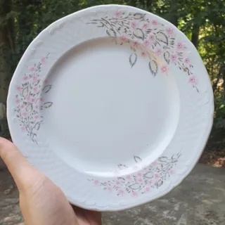 بشقاب و سرویس غذاخوری