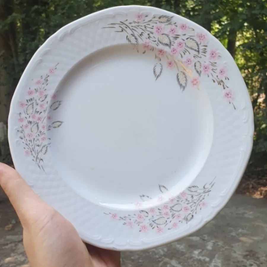 بشقاب و سرویس غذاخوری