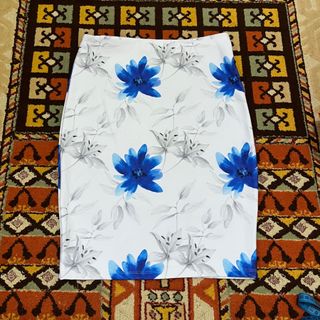 دامن کشی