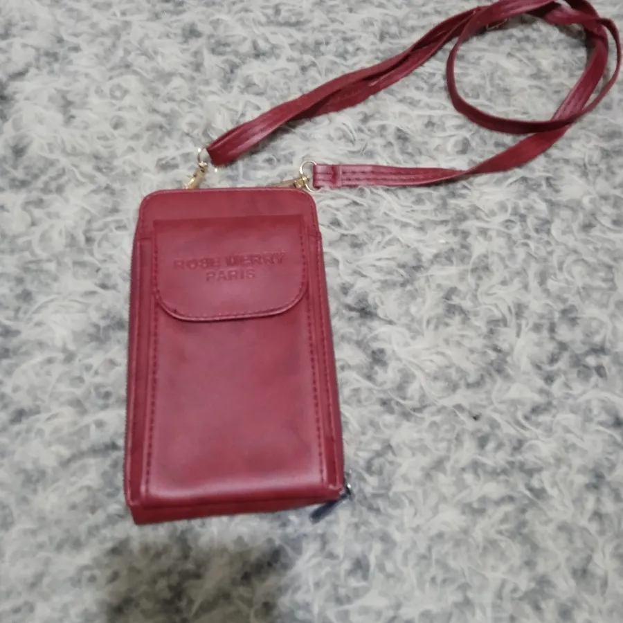 کیف پاستورت