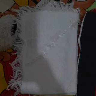 پتودور پیج